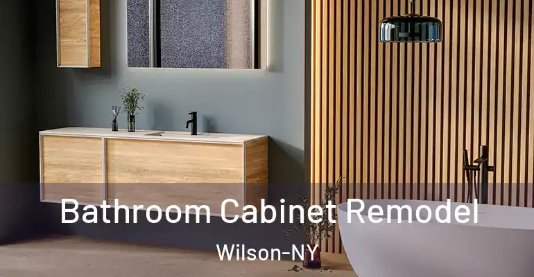 inner Bathroom imggen Bathroom Cabinet Remodel Wilson-NY