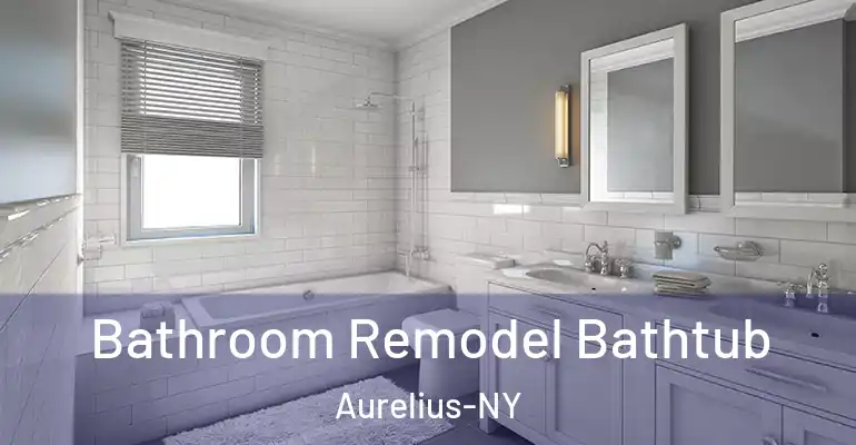 inner Bathroom imggen Bathroom Remodel Bathtub Aurelius-NY
