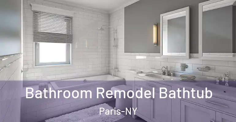 inner Bathroom imggen Bathroom Remodel Bathtub Paris-NY
