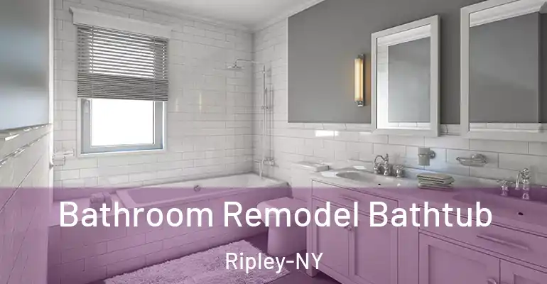 inner Bathroom imggen Bathroom Remodel Bathtub Ripley-NY