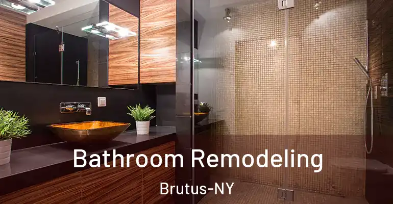 inner Bathroom imggen Bathroom Remodeling Brutus-NY