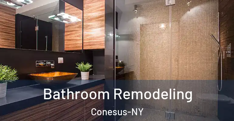 inner Bathroom imggen Bathroom Remodeling Conesus-NY