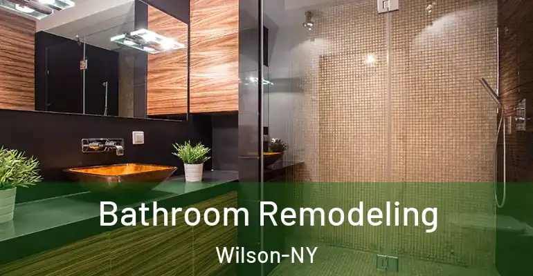 inner Bathroom imggen Bathroom Remodeling Wilson-NY