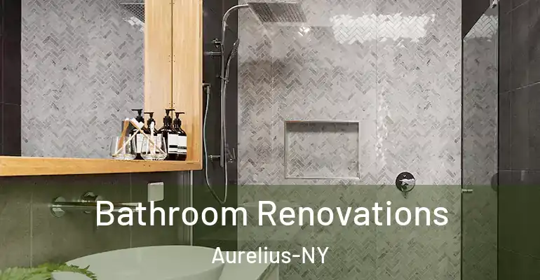 inner Bathroom imggen Bathroom Renovations Aurelius-NY
