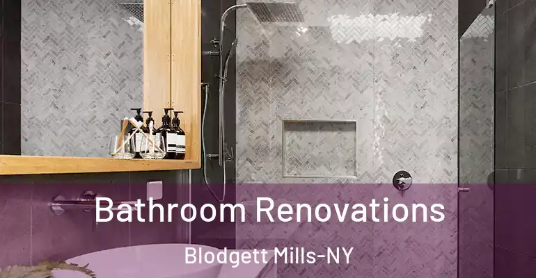 inner Bathroom imggen Bathroom Renovations Blodgett Mills-NY