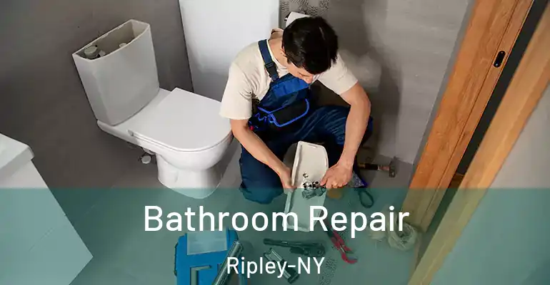 inner Bathroom imggen Bathroom Repair Ripley-NY