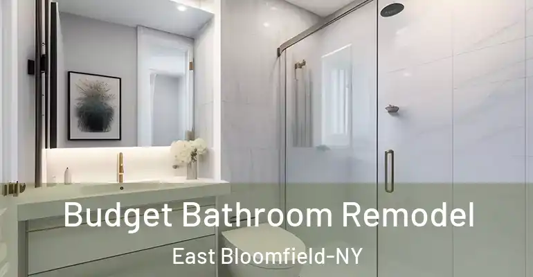inner Bathroom imggen Budget Bathroom Remodel East Bloomfield-NY