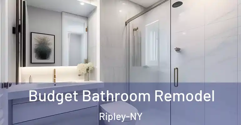 inner Bathroom imggen Budget Bathroom Remodel Ripley-NY