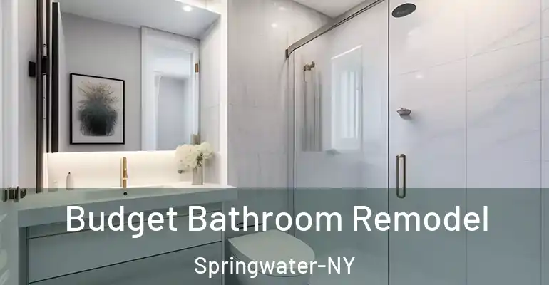 inner Bathroom imggen Budget Bathroom Remodel Springwater-NY