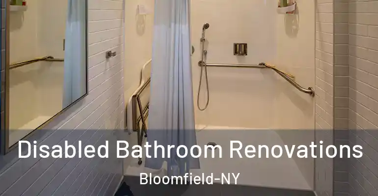 inner Bathroom imggen Disabled Bathroom Renovations Bloomfield-NY