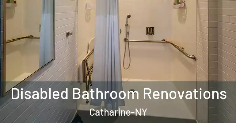 inner Bathroom imggen Disabled Bathroom Renovations Catharine-NY