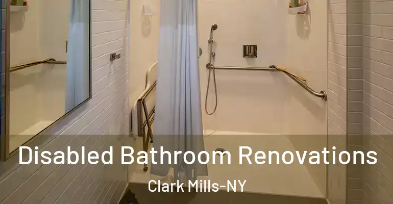 inner Bathroom imggen Disabled Bathroom Renovations Clark Mills-NY