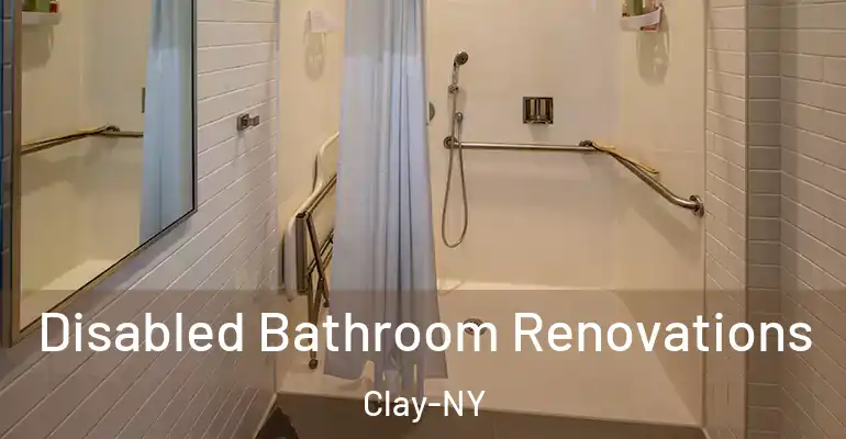 inner Bathroom imggen Disabled Bathroom Renovations Clay-NY