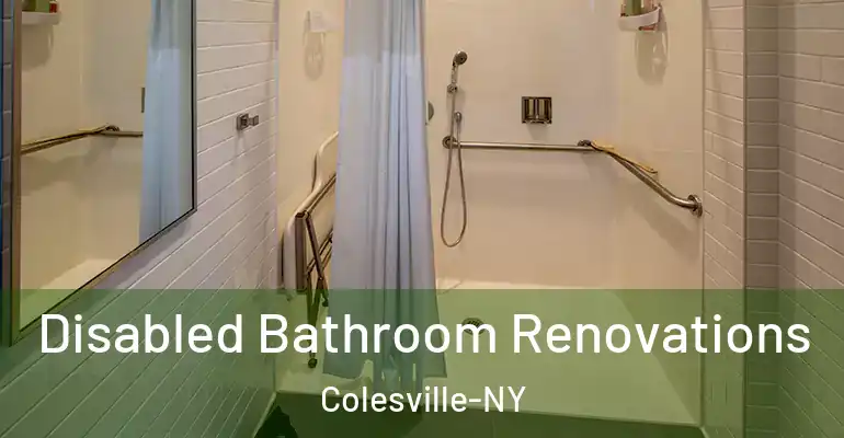 inner Bathroom imggen Disabled Bathroom Renovations Colesville-NY
