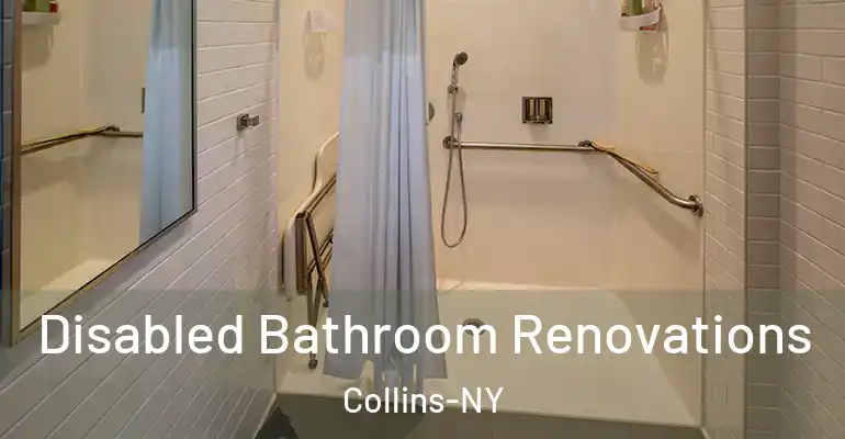 inner Bathroom imggen Disabled Bathroom Renovations Collins-NY
