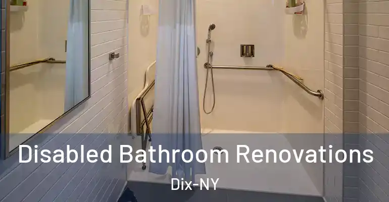 inner Bathroom imggen Disabled Bathroom Renovations Dix-NY