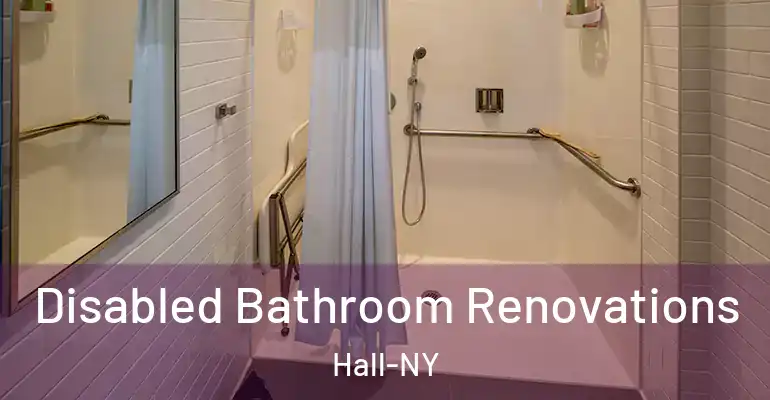 inner Bathroom imggen Disabled Bathroom Renovations Hall-NY