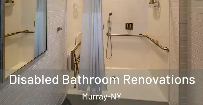 inner Bathroom imggen Disabled Bathroom Renovations Murray-NY