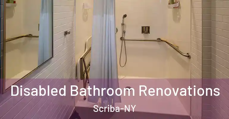 inner Bathroom imggen Disabled Bathroom Renovations Scriba-NY