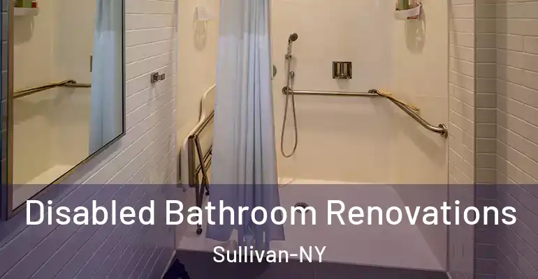 inner Bathroom imggen Disabled Bathroom Renovations Sullivan-NY