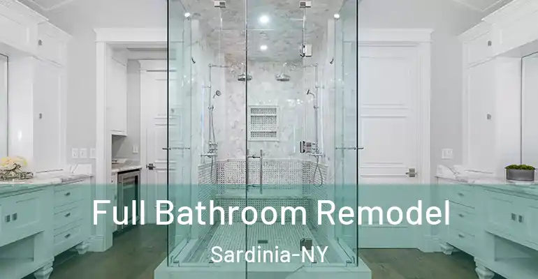 inner Bathroom imggen Full Bathroom Remodel Sardinia-NY