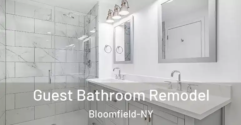 inner Bathroom imggen Guest Bathroom Remodel Bloomfield-NY