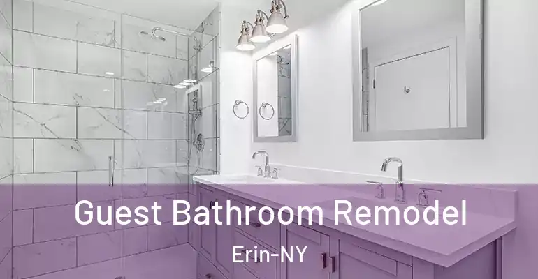 inner Bathroom imggen Guest Bathroom Remodel Erin-NY