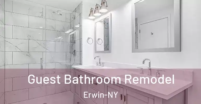 inner Bathroom imggen Guest Bathroom Remodel Erwin-NY