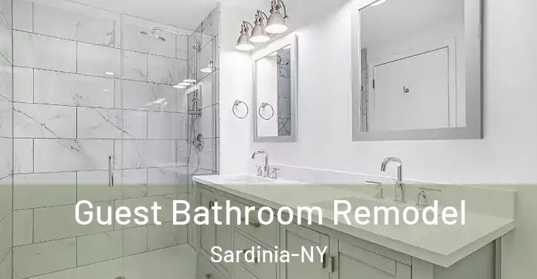 inner Bathroom imggen Guest Bathroom Remodel Sardinia-NY