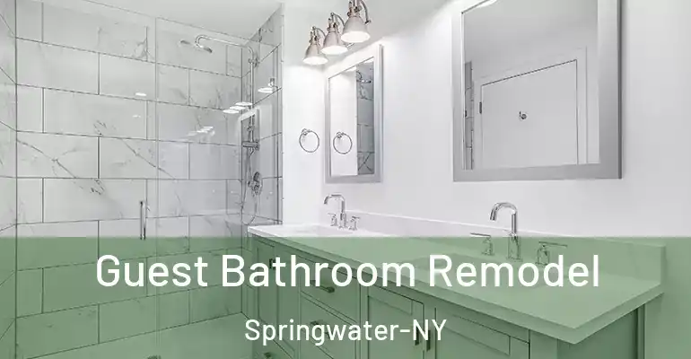 inner Bathroom imggen Guest Bathroom Remodel Springwater-NY