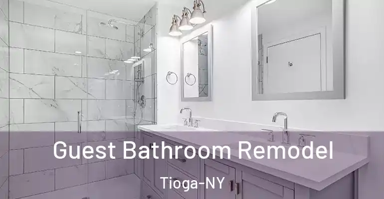 inner Bathroom imggen Guest Bathroom Remodel Tioga-NY