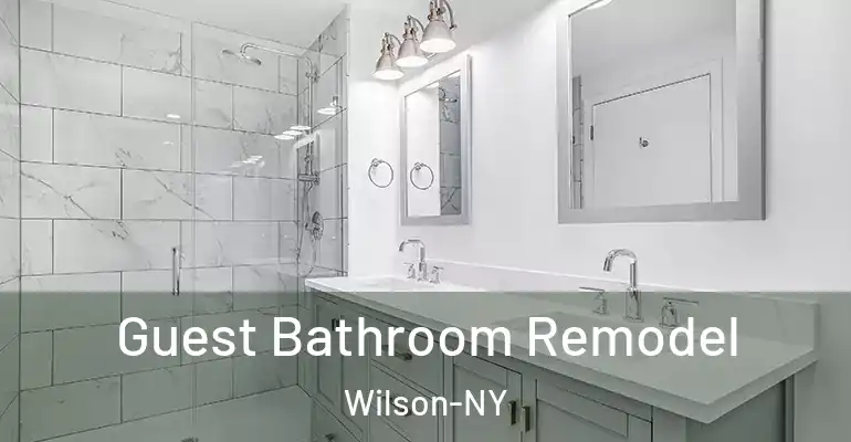 inner Bathroom imggen Guest Bathroom Remodel Wilson-NY
