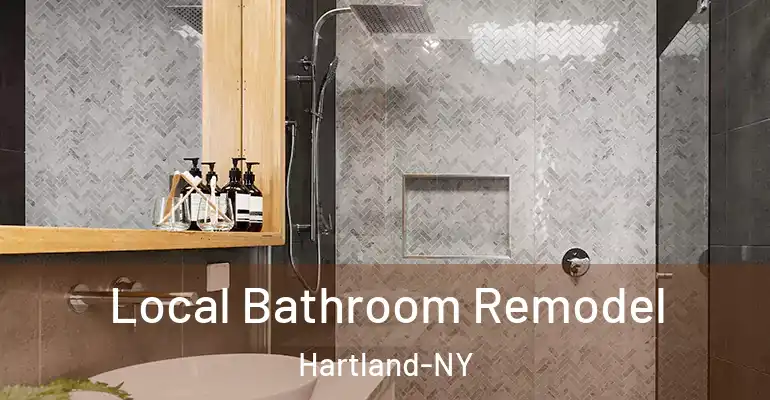 inner Bathroom imggen Local Bathroom Remodel Hartland-NY