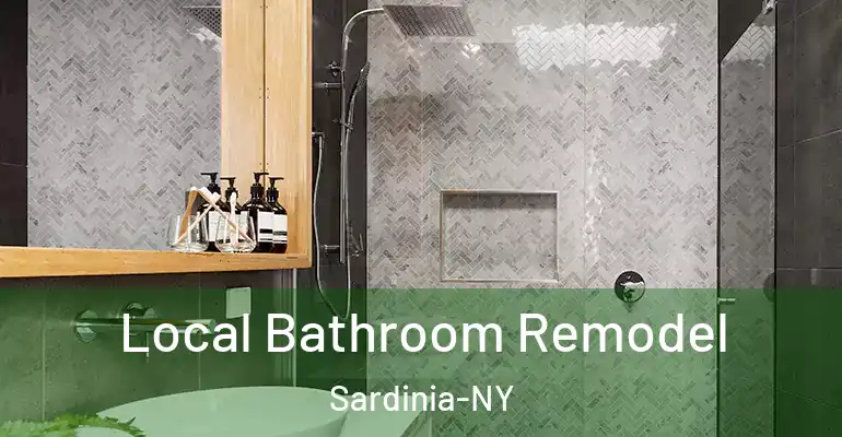 inner Bathroom imggen Local Bathroom Remodel Sardinia-NY
