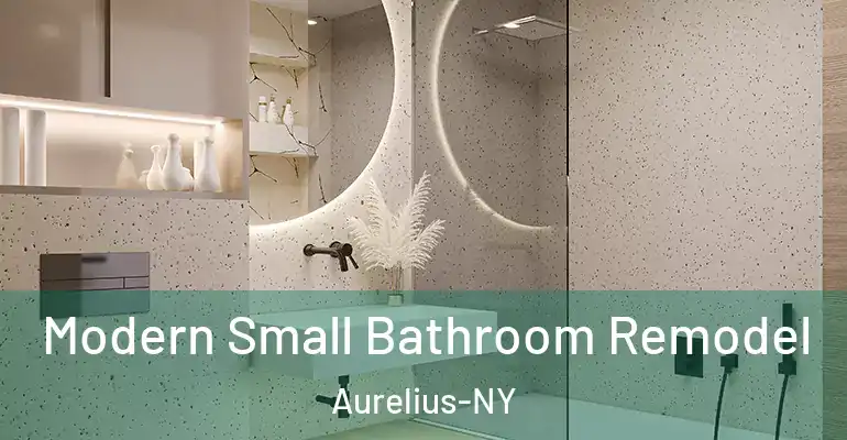 inner Bathroom imggen Modern Small Bathroom Remodel Aurelius-NY