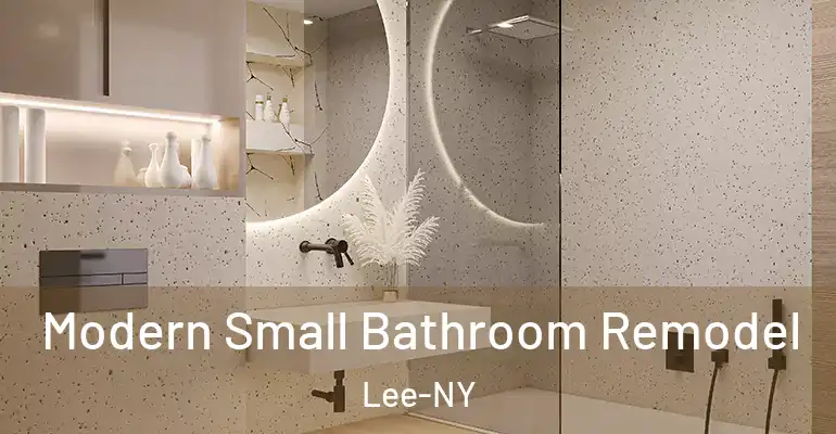 inner Bathroom imggen Modern Small Bathroom Remodel Lee-NY