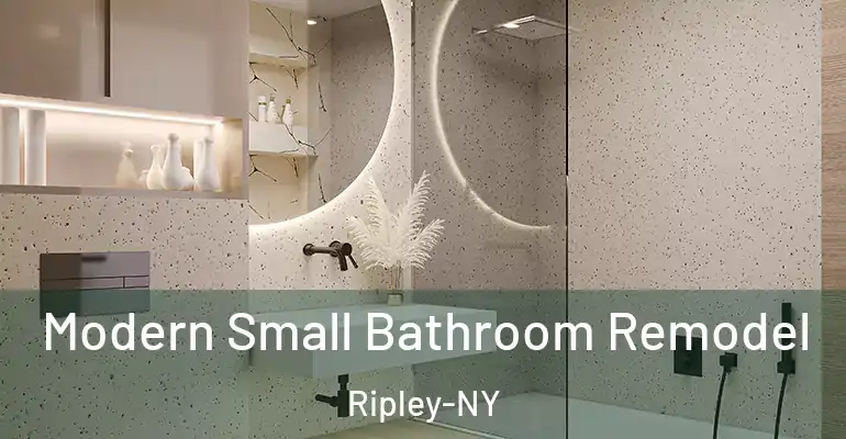 inner Bathroom imggen Modern Small Bathroom Remodel Ripley-NY