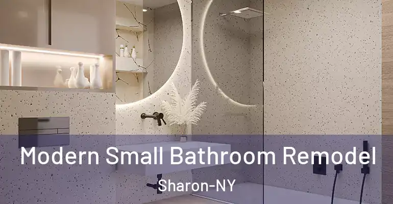 inner Bathroom imggen Modern Small Bathroom Remodel Sharon-NY