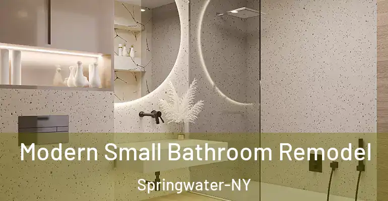 inner Bathroom imggen Modern Small Bathroom Remodel Springwater-NY