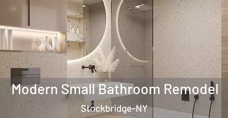 inner Bathroom imggen Modern Small Bathroom Remodel Stockbridge-NY