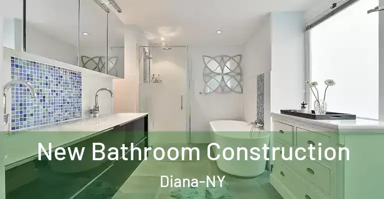 inner Bathroom imggen New Bathroom Construction Diana-NY