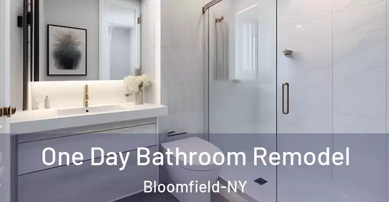 inner Bathroom imggen One Day Bathroom Remodel Bloomfield-NY