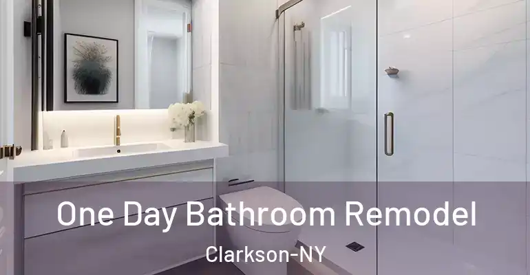 inner Bathroom imggen One Day Bathroom Remodel Clarkson-NY