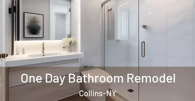 inner Bathroom imggen One Day Bathroom Remodel Collins-NY