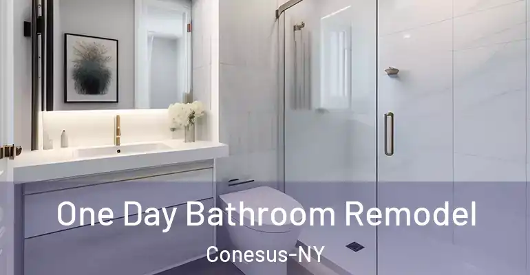 inner Bathroom imggen One Day Bathroom Remodel Conesus-NY