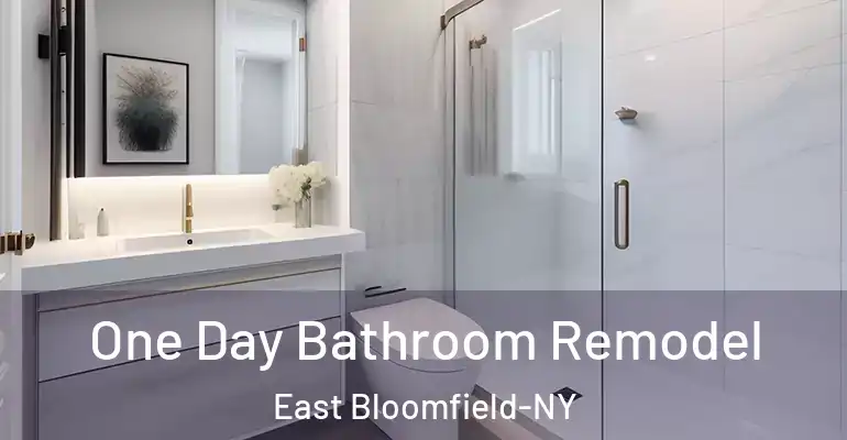 inner Bathroom imggen One Day Bathroom Remodel East Bloomfield-NY