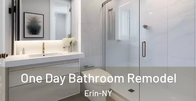 inner Bathroom imggen One Day Bathroom Remodel Erin-NY