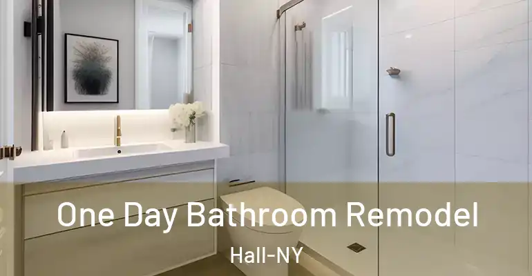 inner Bathroom imggen One Day Bathroom Remodel Hall-NY