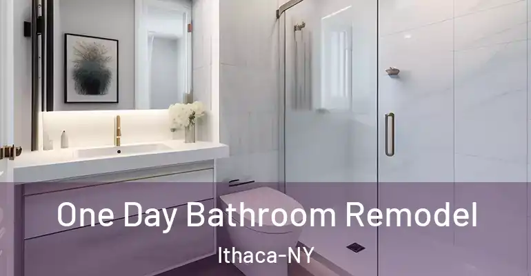 inner Bathroom imggen One Day Bathroom Remodel Ithaca-NY