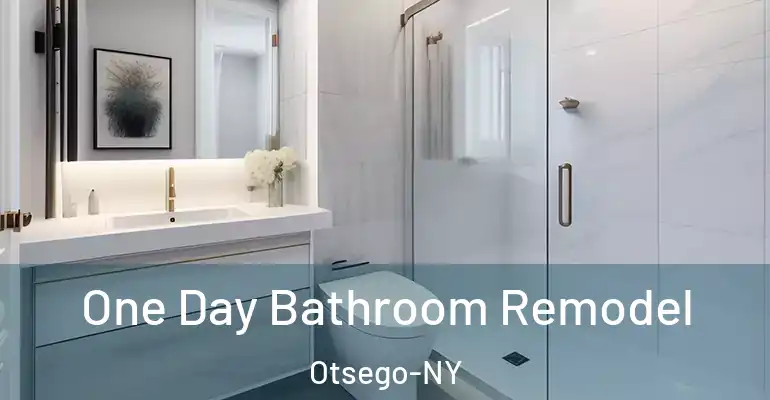 inner Bathroom imggen One Day Bathroom Remodel Otsego-NY